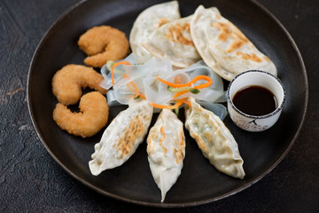 Different fried potstickers, panko breaded shrimps and noodles salad on a metal serving tray, studio shot