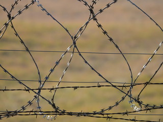 prison wall with protection