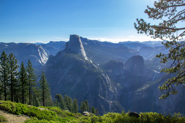 Sequoia tree framed by greenery, mountain and clear blue sky in Sequoia National Park