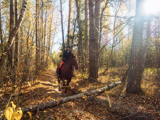 Fototapeta premium The rider on the red horse is preparing to jump over an obstacle in the autumn forest