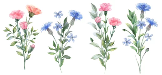 Deurstickers Watercolor flowers. Botanical illustrations. Floral set. © Anastasia
