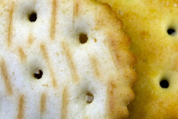 cookie cracker closeup