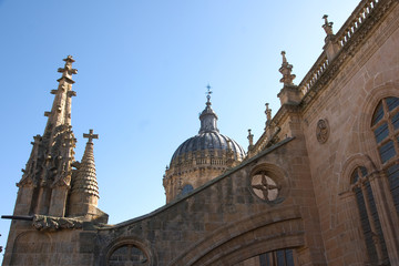 Fototapeta na wymiar Catedral,Salamanca,Castilla-Leon,Spain