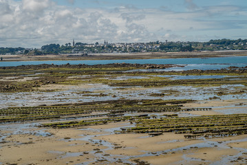 Low tide oyster parks in Bretagne in France