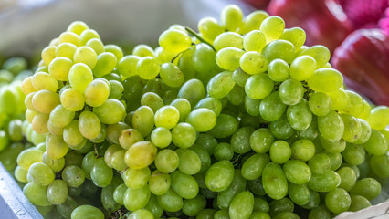 Green seedless grapes fruit- thai