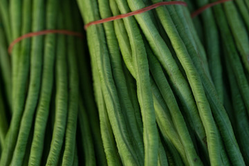 A bunch of fresh green beans stack at market