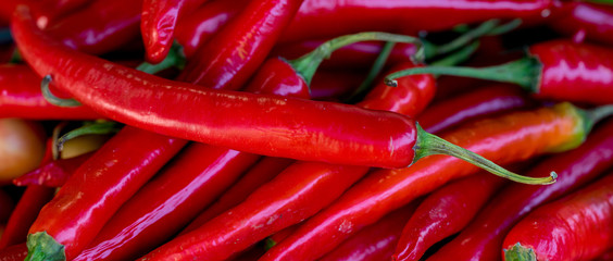 Red chilli pepper in the market