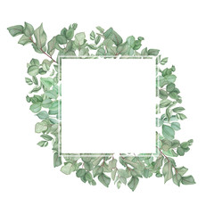 Frame with eucalyptus branches, watercolor painting