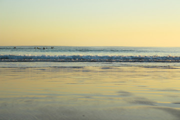 Obraz premium Group of surfers surfing on the beach, with sunset colors