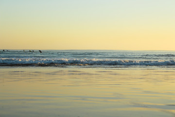 Obraz premium Group of surfers surfing on the beach, with sunset colors