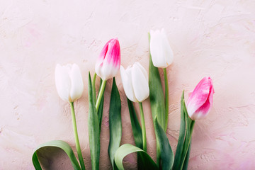 tulips on a pink stone background, spring bouquet, women's day