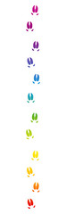 Obraz premium Pig tracks. Rainbow colored footprints, symbolic for lucky pig or luck in the year of the pig. Isolated black icon vector illustration on white background.