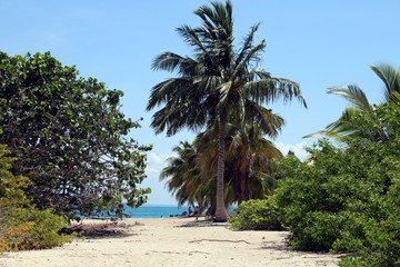 Caribbean beach