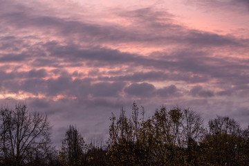 Dramatic clouds and trees