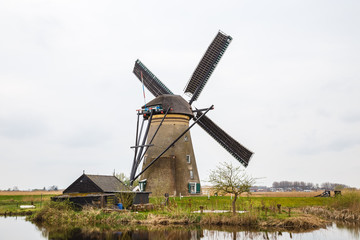 Naklejka na ściany i meble Rotterdam trip windmills