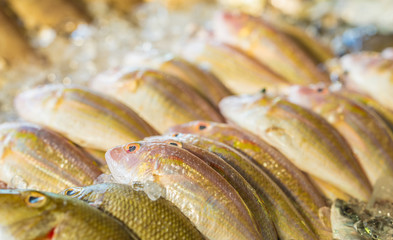 Fresh fish at market