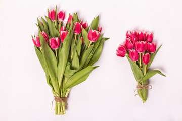 Pink two tulips in bouquet isolated over white background