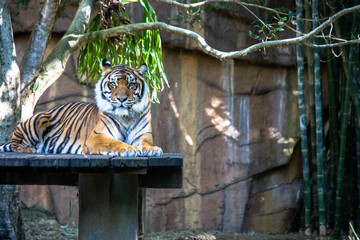 Australia zoo, Australia