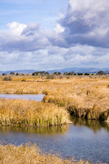 Marsh views, Coyote Hills Regional Park, east San Francisco bay, California