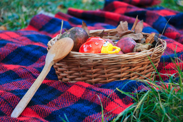 Fototapeta na wymiar A basket of apples on a blanket. Autumn Landscape. A wooden spoon.