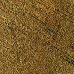 Aerial view of the field with autumn harvest.
