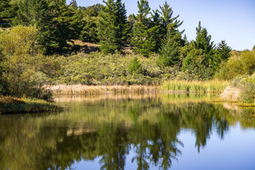 Obraz premium Calm lake in the Santa Cruz mountains, San Francisco bay area, California