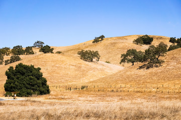 Dry grass covering rolling hills, Coyote Lake - Harvey Bear Park, south San Francisco bay area,...