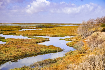 Wetlands in Alviso Marsh, south San Francisco bay, San Jose, California
