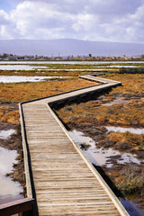 Boardwalk through Alviso Marsh, South San Francisco Bay, San Jose, California