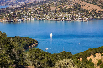 Ships sail in Belvedere Cove on a clear Autumn day, San Francisco bay, California - obrazy, fototapety, plakaty
