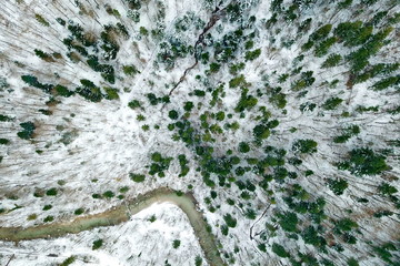 Snowy forest from the sky
