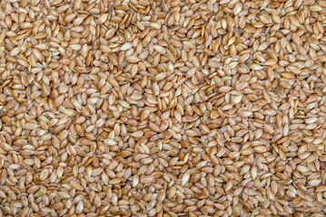 Golden flax seeds. Micronutrient beneficial for the organism that prevents and cures ailments. Rich in fiber and nutrients.