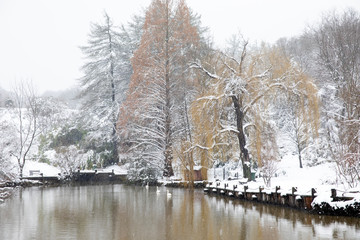 Fototapeta na wymiar Atatürk Arboretumu Bahcekoy snowy photos Sariyer istanbul
