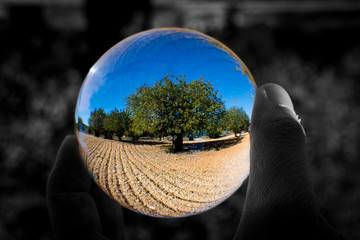 Reflejos