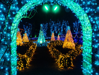Blue Green Arch Christmas Lights Van Dusen Garden Vancouver British Columbia Canada