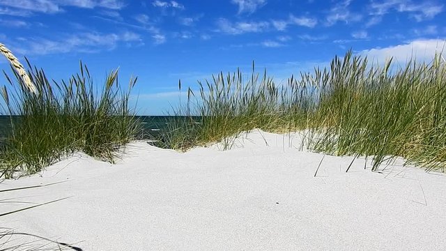Baltic Sea Beach with Seagrass and Dunes - Ocean View