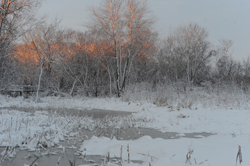 Snow Covered Pond and Forest
