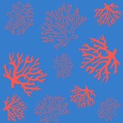 beautiful coral pattern illustration