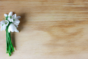 Beautiful snowdrops on wooden background.