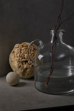 Celery root with stone and twigs in jug of water
