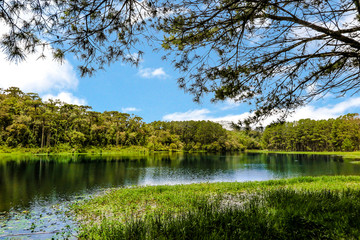 Perimbo dam lake, with many trees and lawn in the surroundings, Petrolandia, Santa Catarina, Brazil