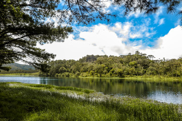 Fototapeta na wymiar Perimbo dam lake, with many trees and lawn in the surroundings, Petrolandia, Santa Catarina, Brazil