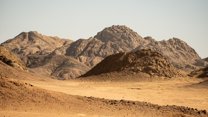 Fototapeta na wymiar Steinwüste in Ägypten mit neutralem Himmel