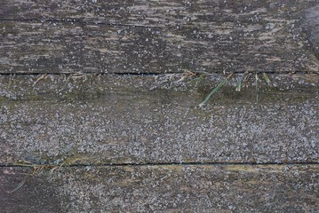 gray wooden texture from old dirty boards in the fence