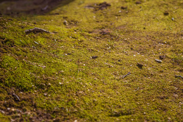 Kastoria. An amazing destination for nature and calm family vacations