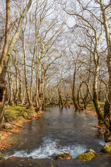 Kastoria. An amazing destination for nature and calm family vacations