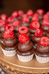 Mini Chocolate Cupcakes With Chocolate Frosting And Raspberry Garnish