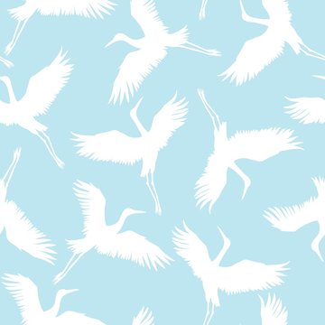 crane birds vector illustration