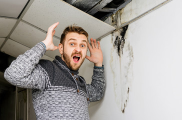 Bearded man in shock from the black mold on the wall and ceiling.