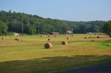 Round hay bails in a hay field